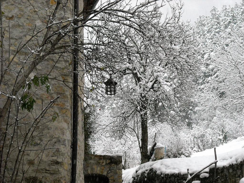La Piazzetta Di Canale B&B Tenno Exterior photo